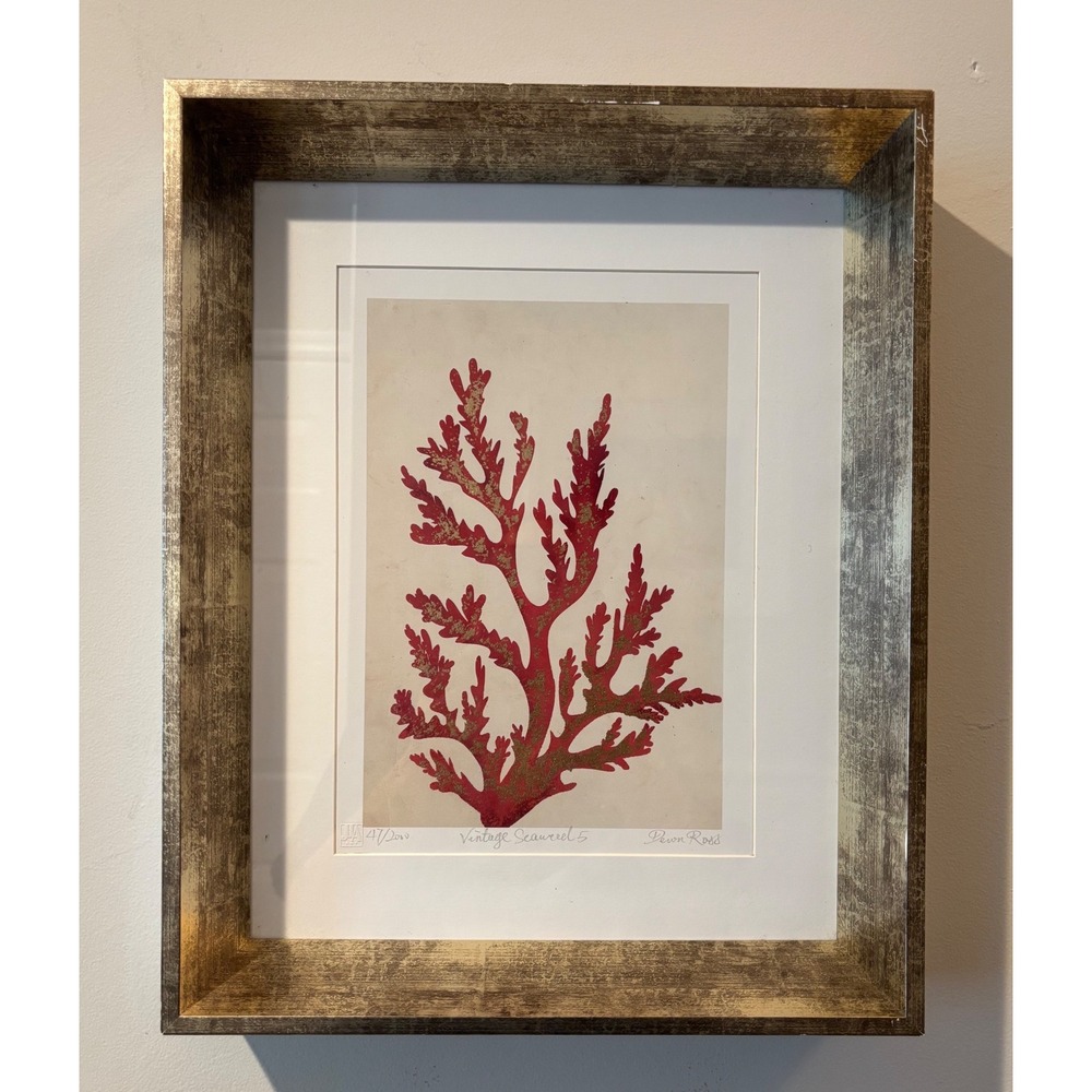 Devon Ross Vintage Seaweed 5 Gold Foil Red Coral Framed Art Print Limited Editio